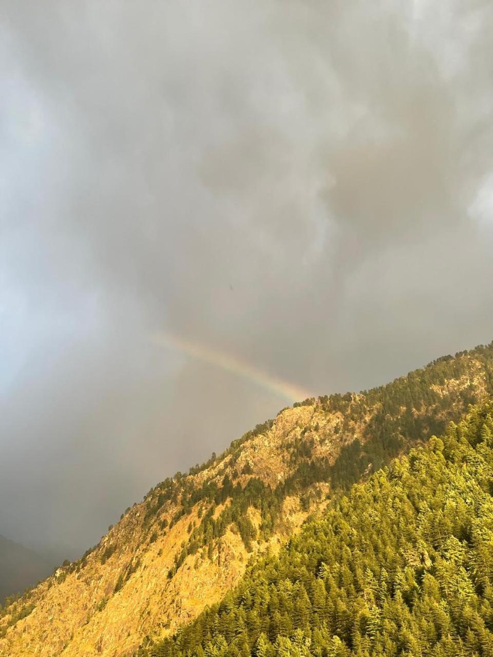 Trippy Homestay Kasol Eksteriør bilde